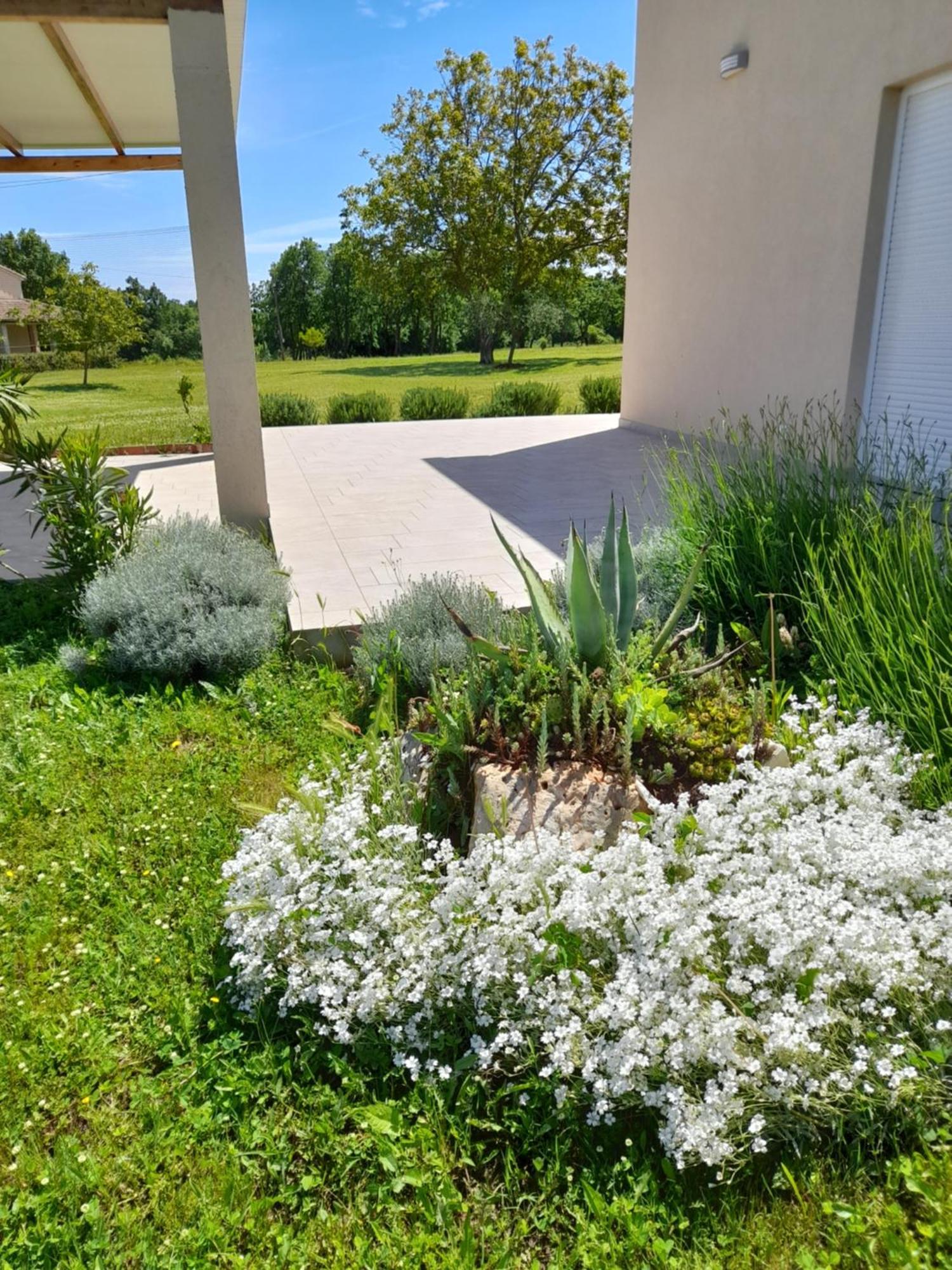 House Carla Belavici Villa Hreljici Exterior photo